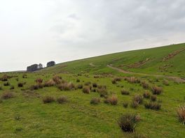 Farm