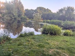 Beautiful fishing lake with ducks.