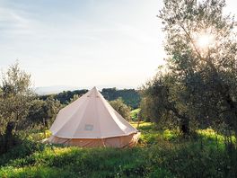 Safari tent