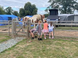 The kids loved the horses they called dave and knox