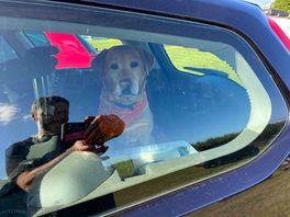 Our dog, completely triggered and ready to leave!