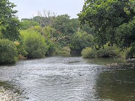 Teifi
