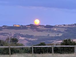 Full moon