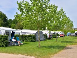 Grass pitches