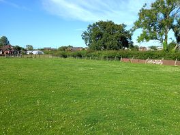 Camping field
