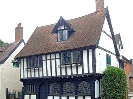 The green dragon