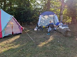 Hot weather made more bearable by sticking to the treeline
