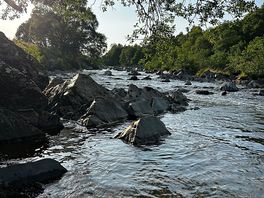 A view of the river running parallel to the site.
