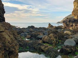 Nearby cove