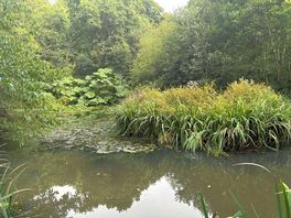 Ponds