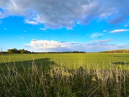 Endless views of fields
