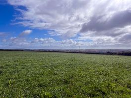 The view in the morning