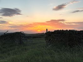 Lovely sunsets.