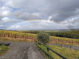 Rainbow on arrival