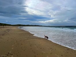 Beach view