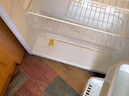 Fridge was filthy