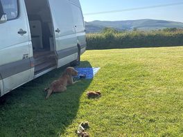 Beautiful site! dog friendly.