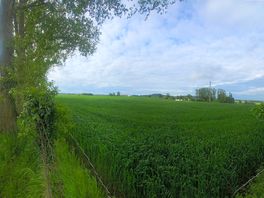View from the site over the feilds