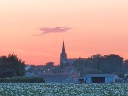 Village at sunset