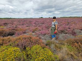 Dunwich heath