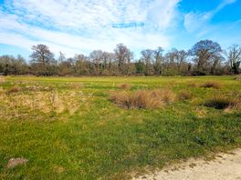 Pick-your-own-pitch camping area