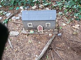 Fairy garden