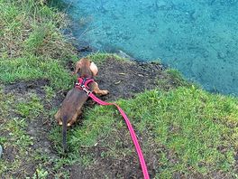 Lovely clear water in the lake, from a fresh spring