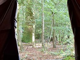 View from inside tent