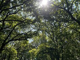 Out on a morning run from the site