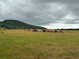 Stunning views of the surrounding mountains