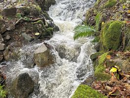 Aira falls