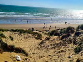 In the the sand dunes