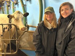 We loved watching the cows coming in to be milked then off to bed!