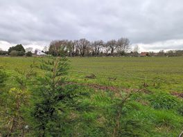 View across the road