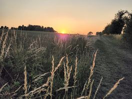 Evening walk