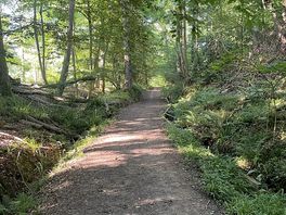 One of the woodland paths direct from the site.