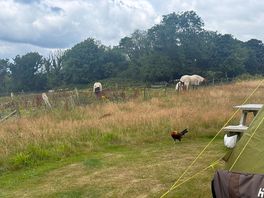 Farm life