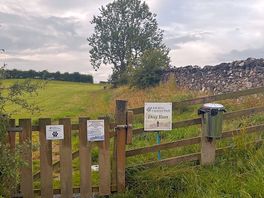 Nice field for the pooches , secure .