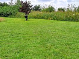 Beautiful wild flower borders and plenty of space