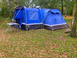 Superb pitch in the woods