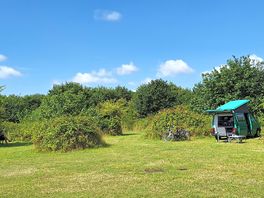 Een van de staanplaatsen op het free camping gedeelte