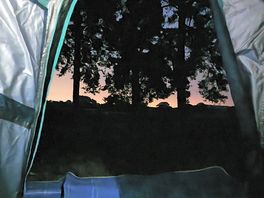 Night time view from the tent.
