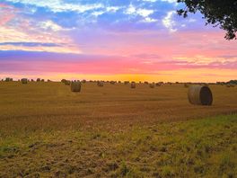 Beautiful surrounding fields