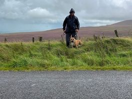 For dogs lovely place