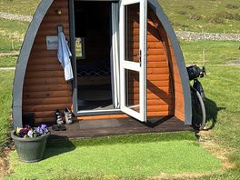 Bee pod exterior