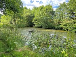 Lake walk