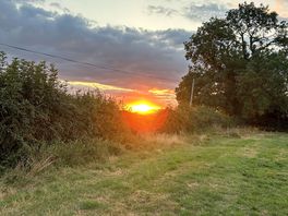 Gorgeous sunsets