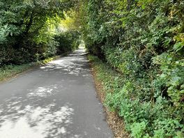 Approach to the site