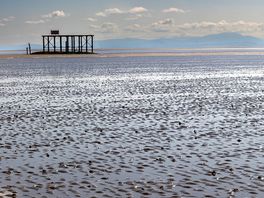 Looking out towards the solway