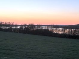 Breathtaking view from the dog exercise field